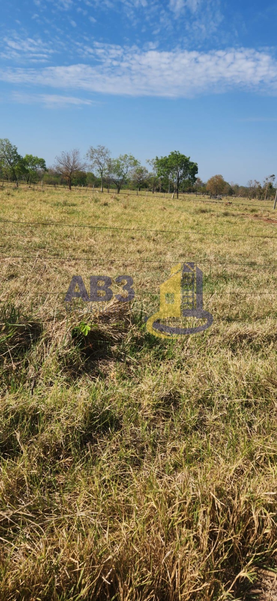 Fazenda, 81 m² - Foto 10