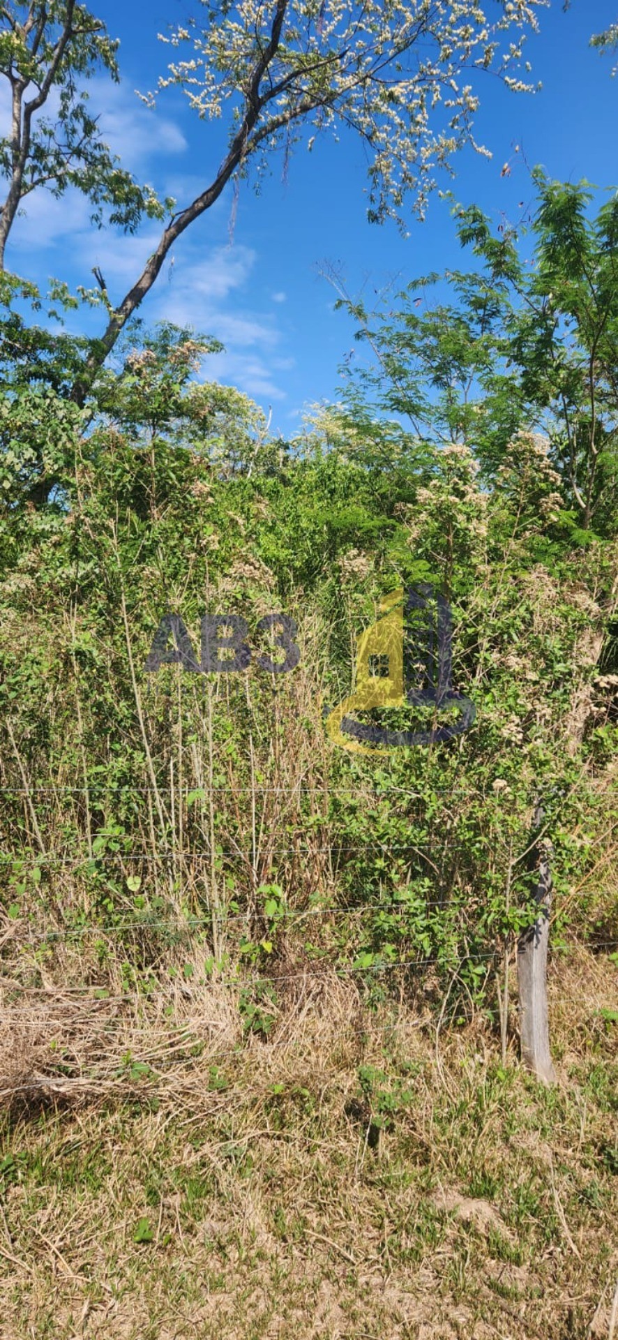 Fazenda, 81 m² - Foto 3