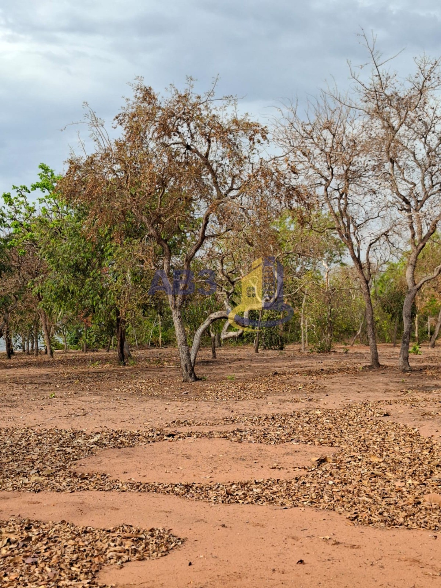Terreno - Foto 2
