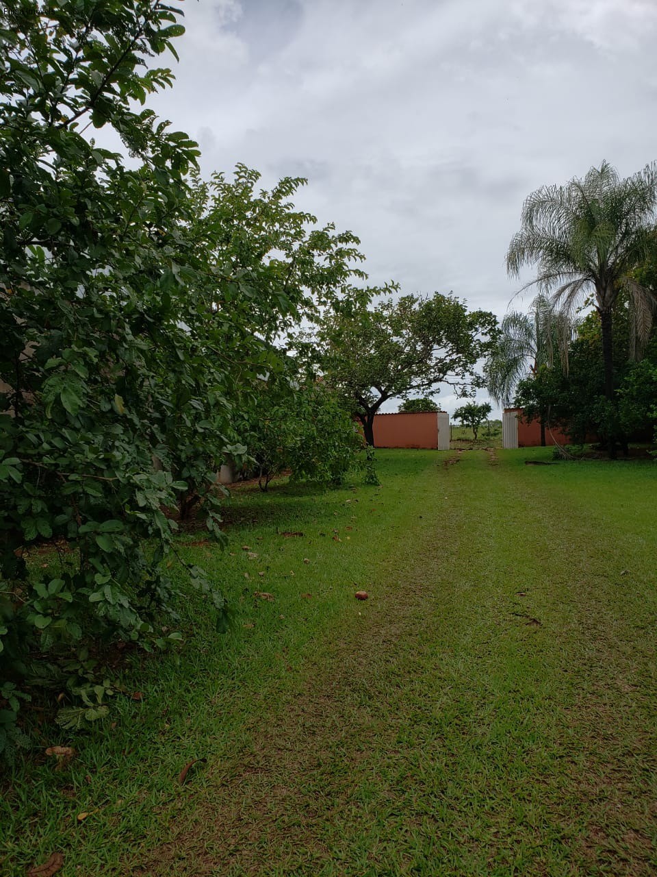 Fazenda, 4 quartos - Foto 11