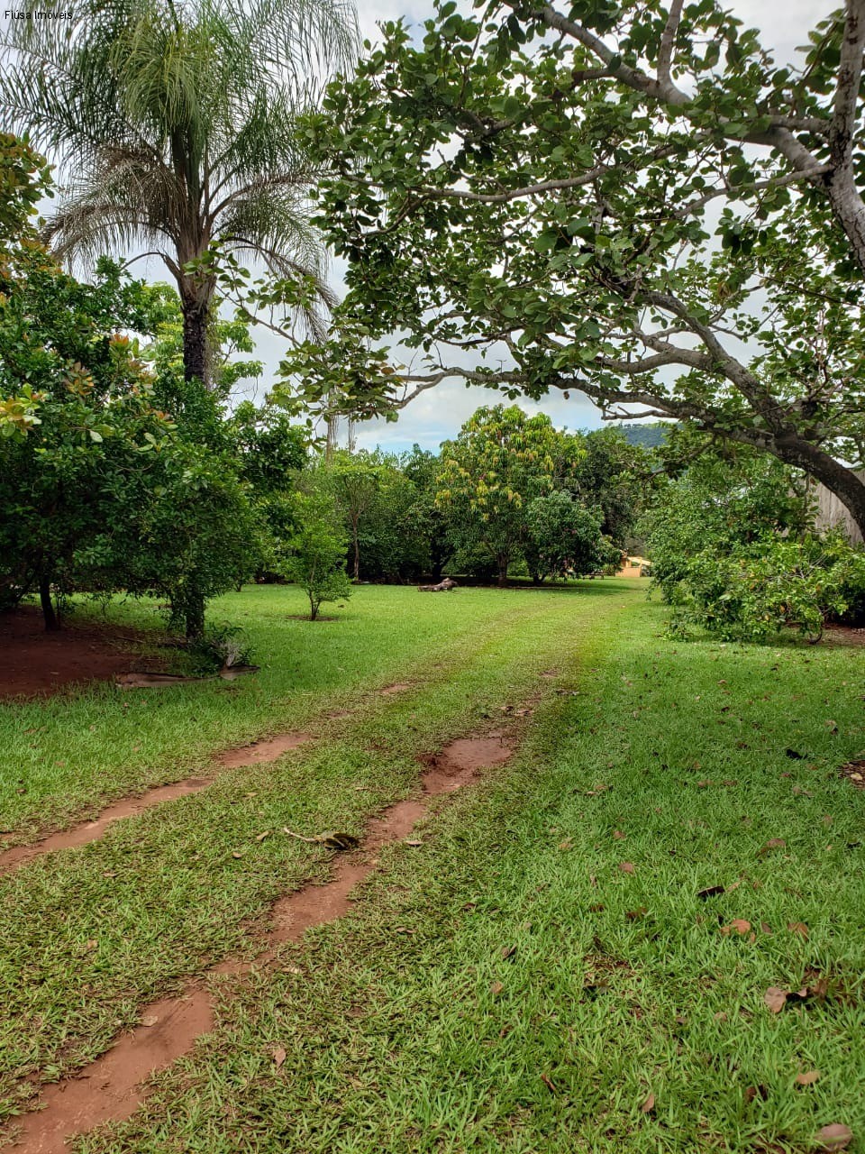 Fazenda, 4 quartos - Foto 13