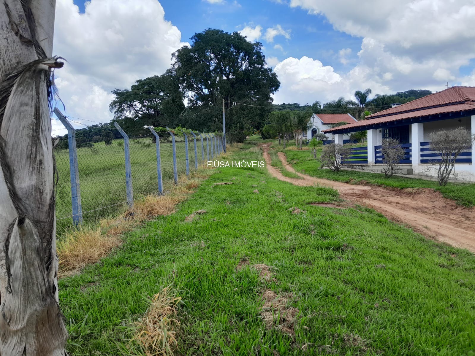 Sítio - Foto 17