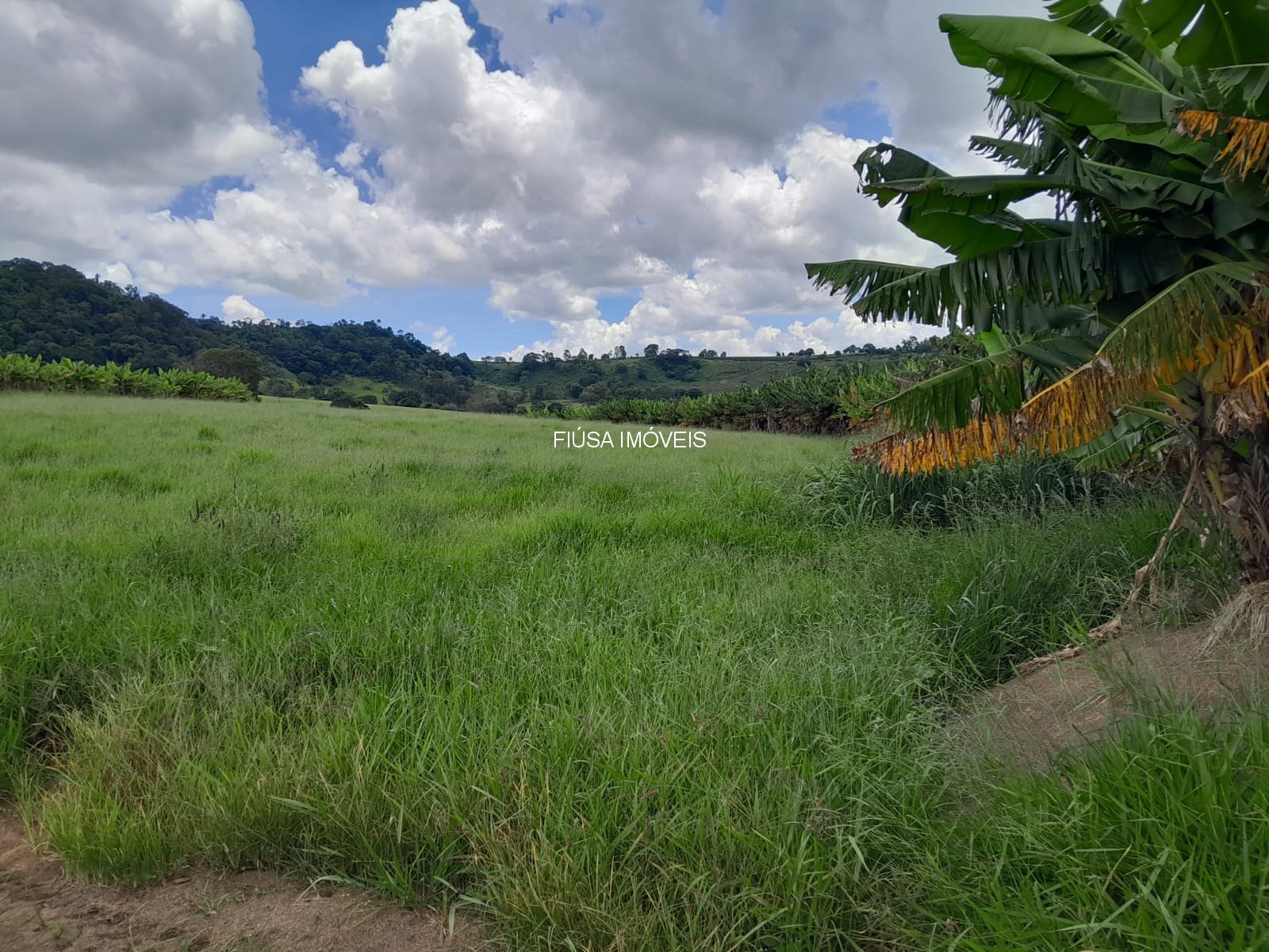 Sítio - Foto 15