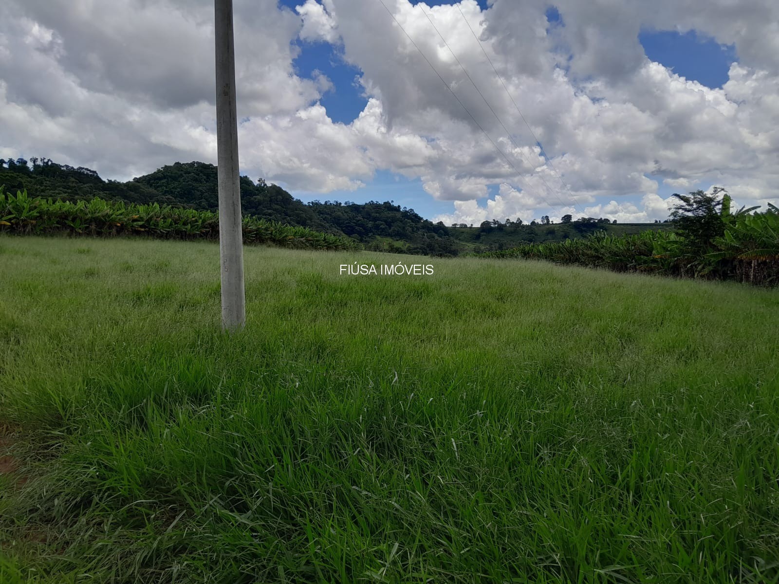 Sítio - Foto 13