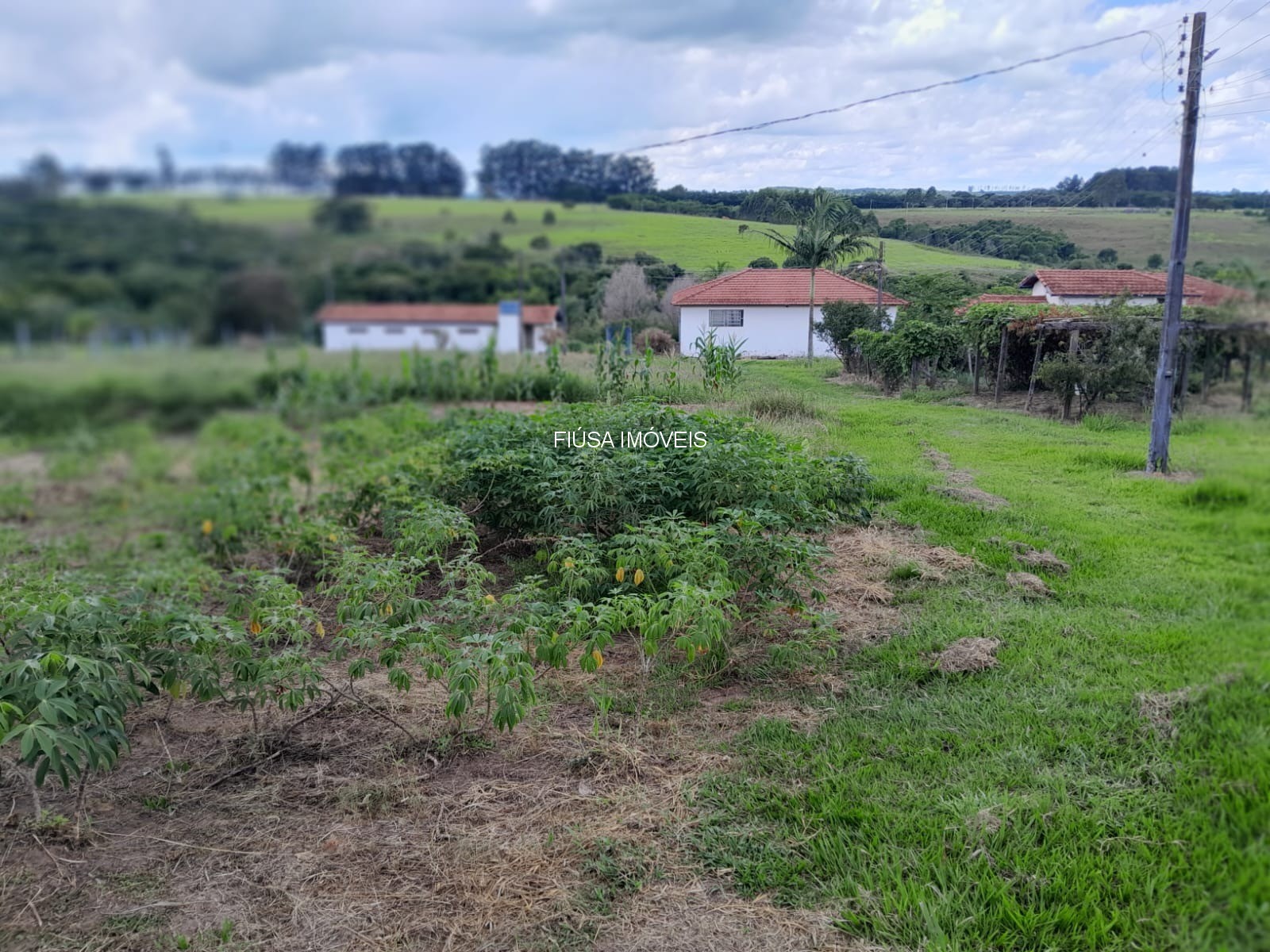 Sítio - Foto 32