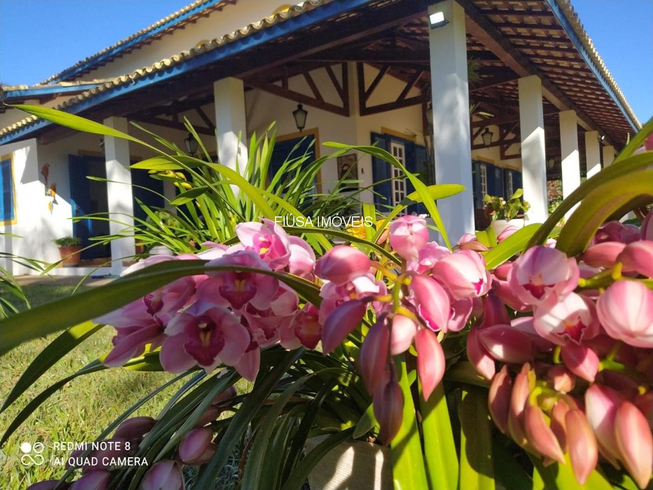 Fazenda, 9 quartos - Foto 4