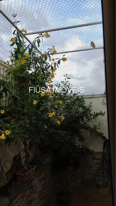 Casa, 3 quartos - Foto 19