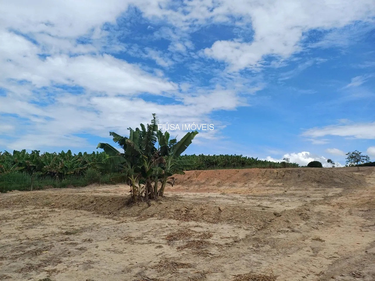 Terreno, 5000 m² - Foto 4