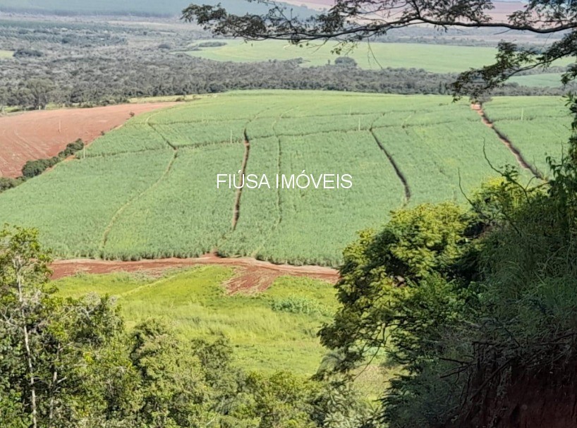Fazenda - Foto 2