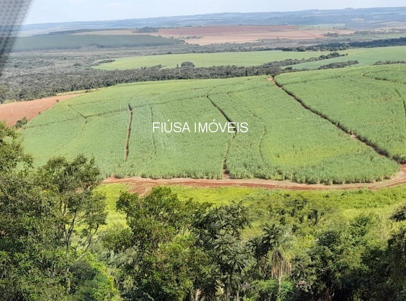 Fazenda - Foto 5