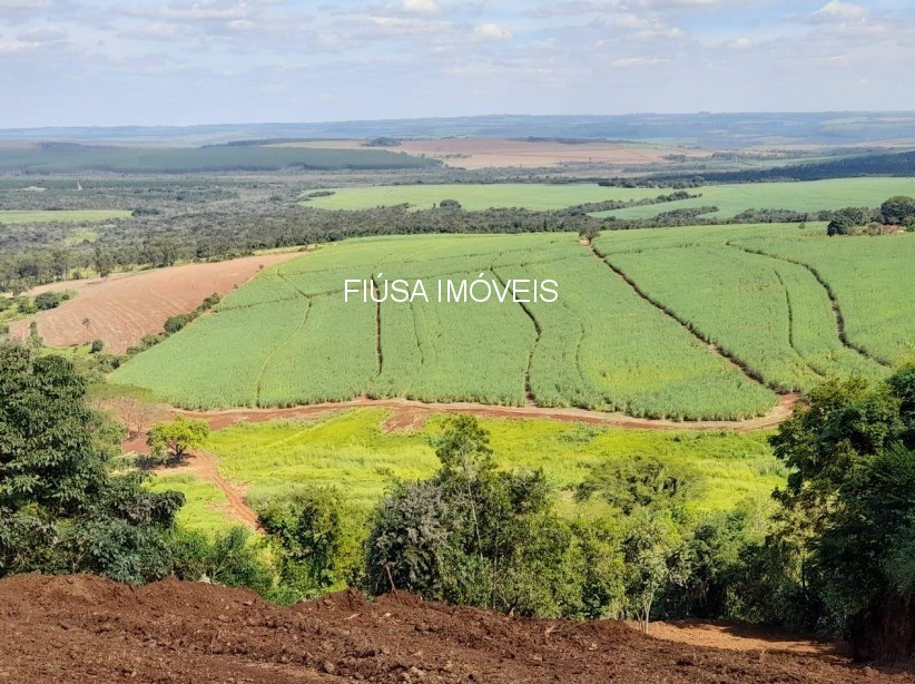 Fazenda - Foto 7