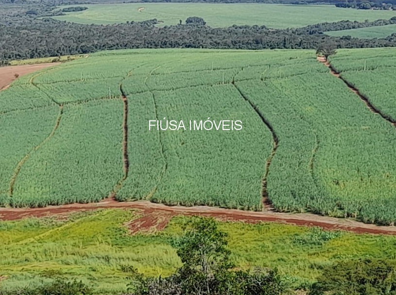 Fazenda - Foto 3