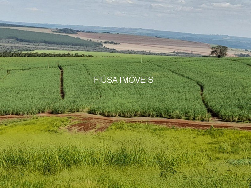 Fazenda - Foto 6
