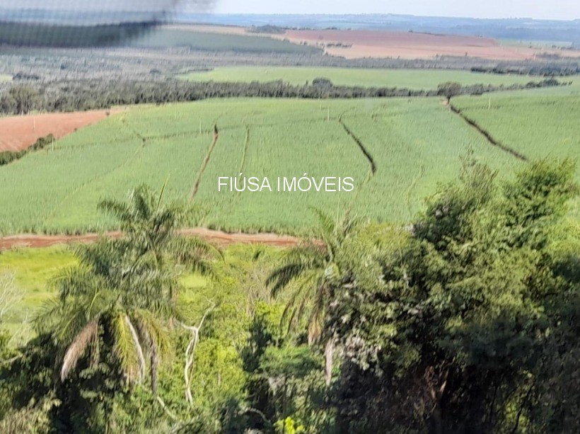 Fazenda - Foto 4
