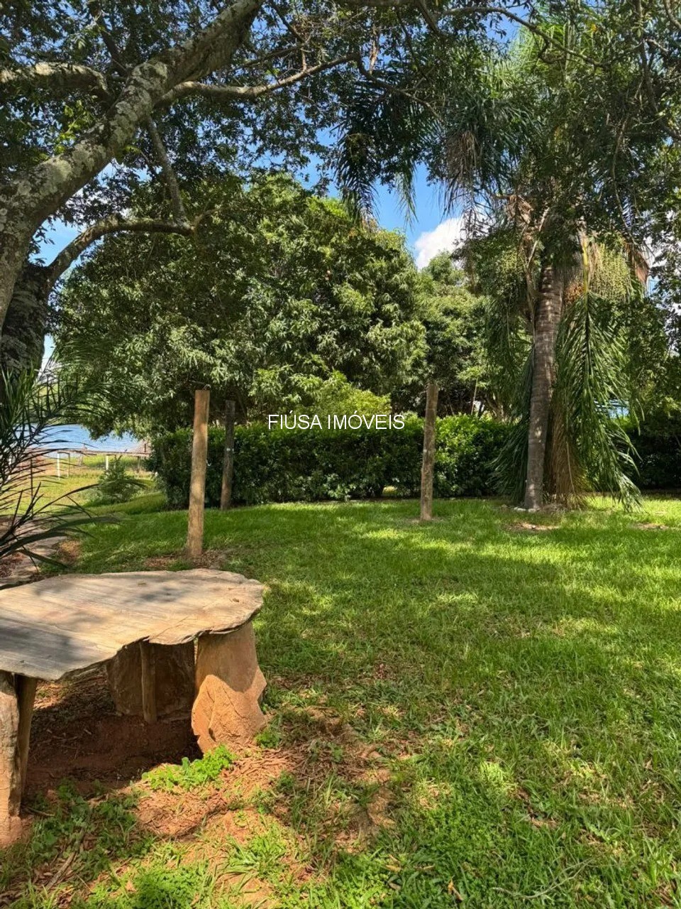 Fazenda, 3 quartos - Foto 7