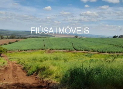 Fazenda - Foto 1