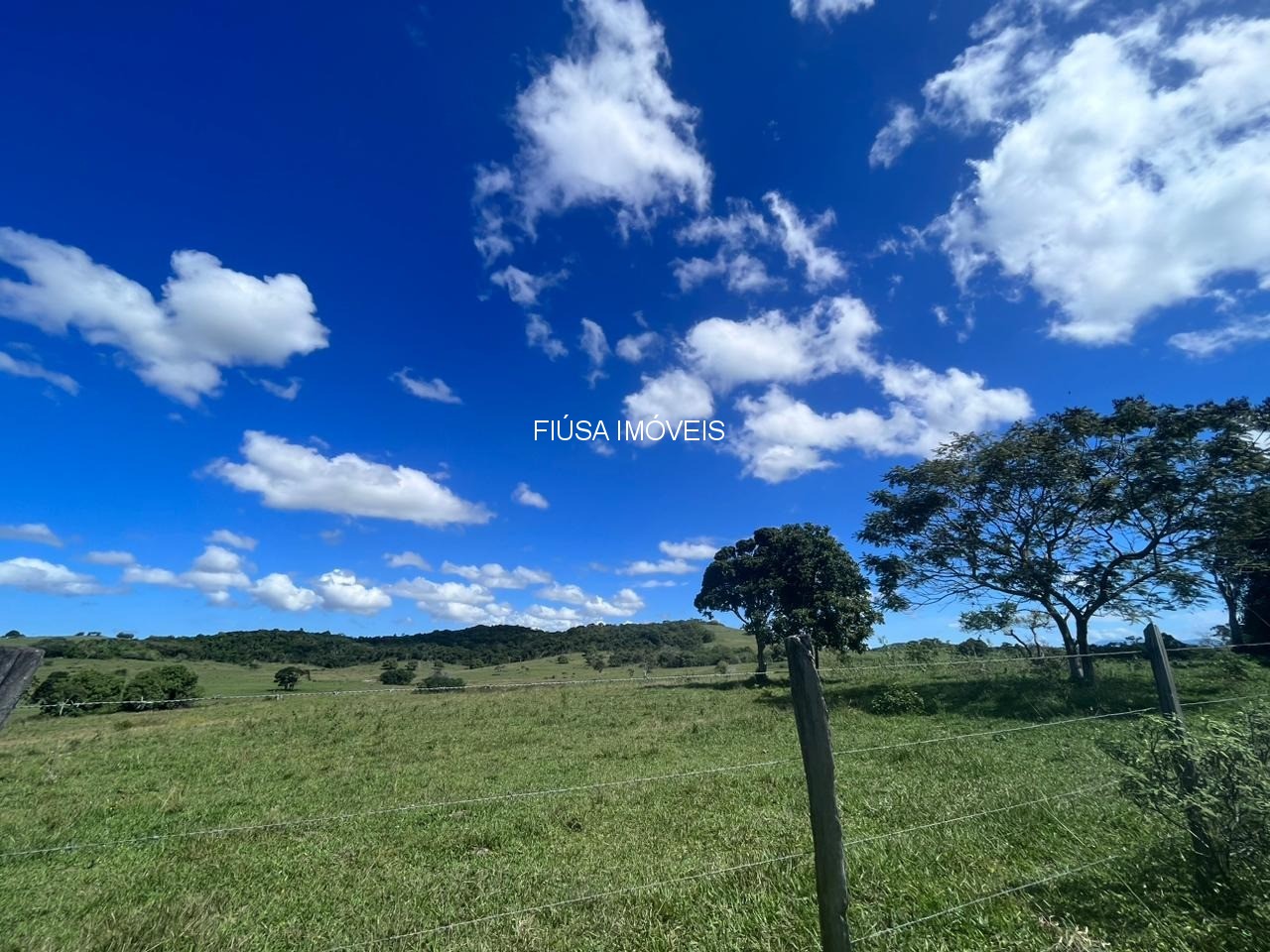 Fazenda - Foto 52