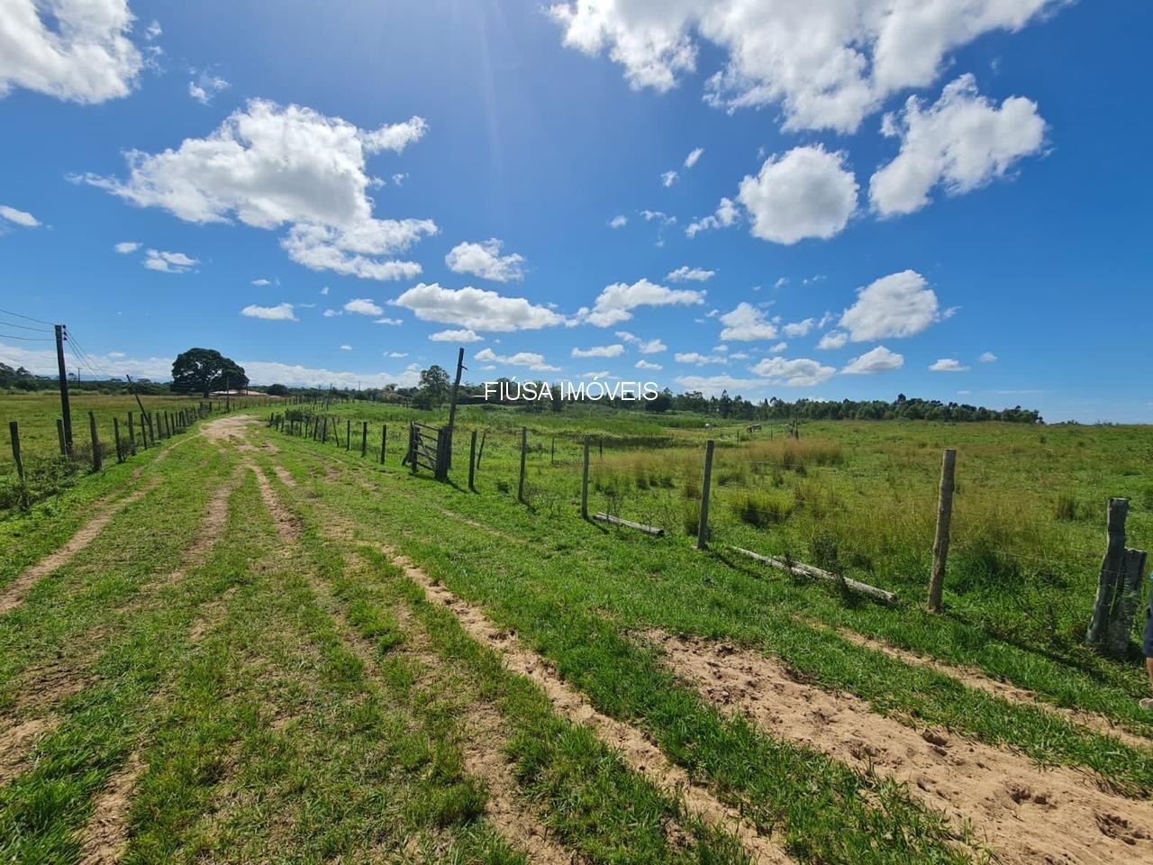 Fazenda - Foto 5