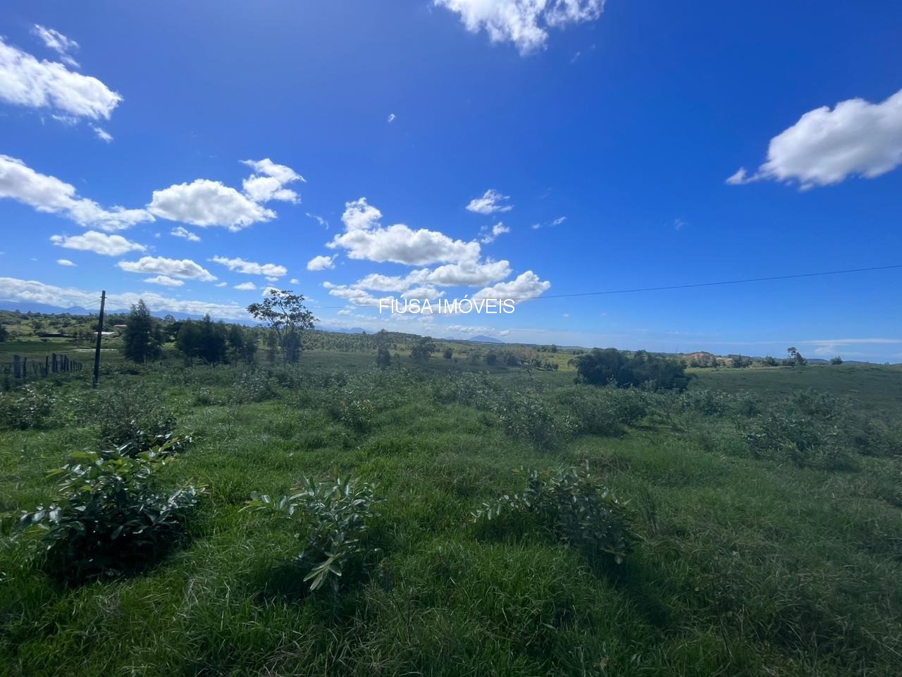Fazenda - Foto 36
