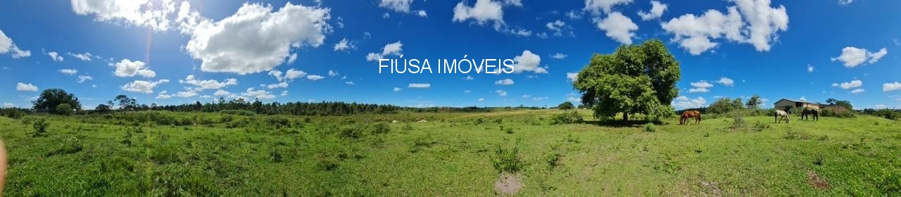 Fazenda - Foto 15