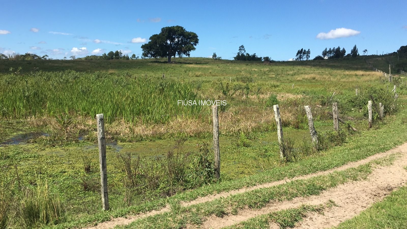 Fazenda - Foto 60