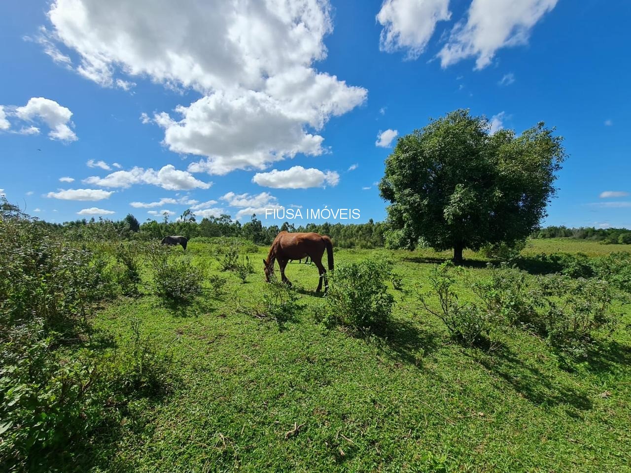 Fazenda - Foto 21