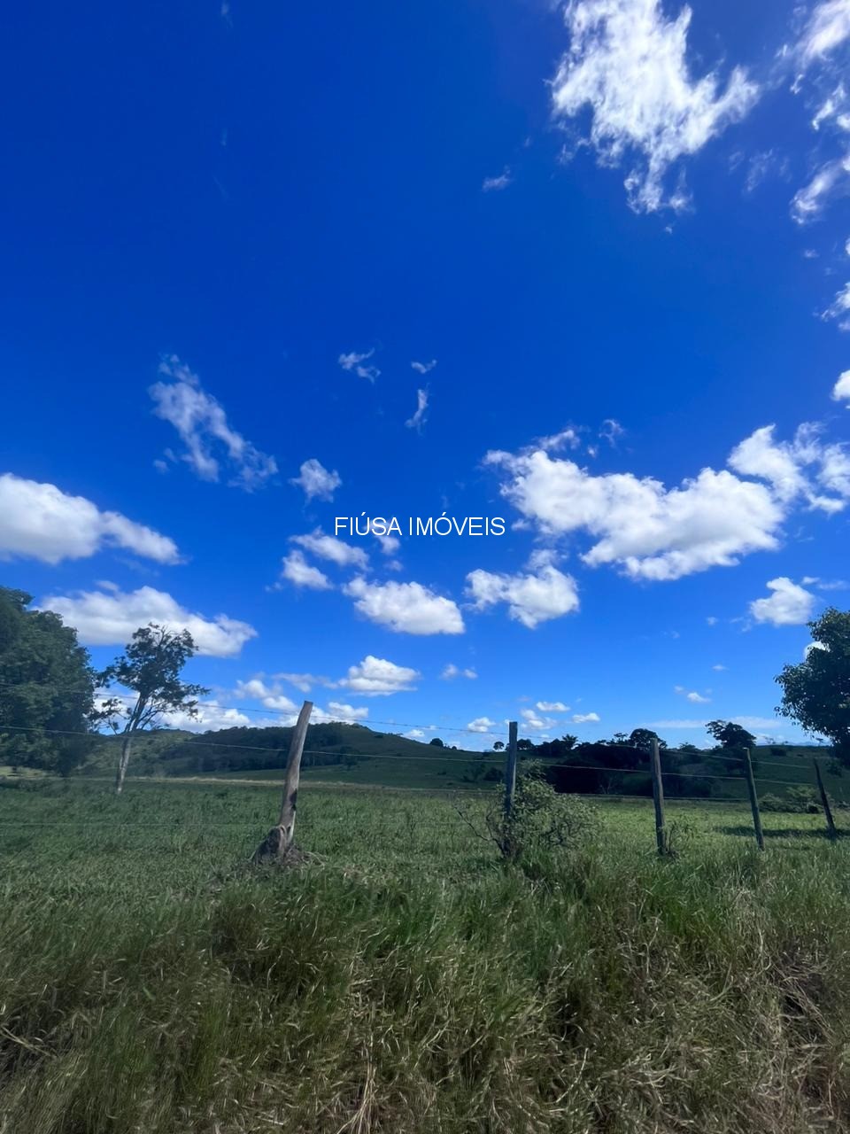 Fazenda - Foto 49