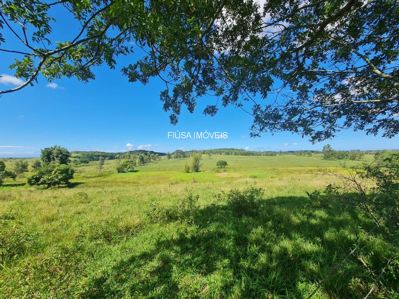Fazenda - Foto 29