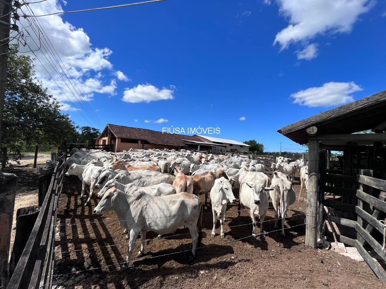 Fazenda - Foto 31
