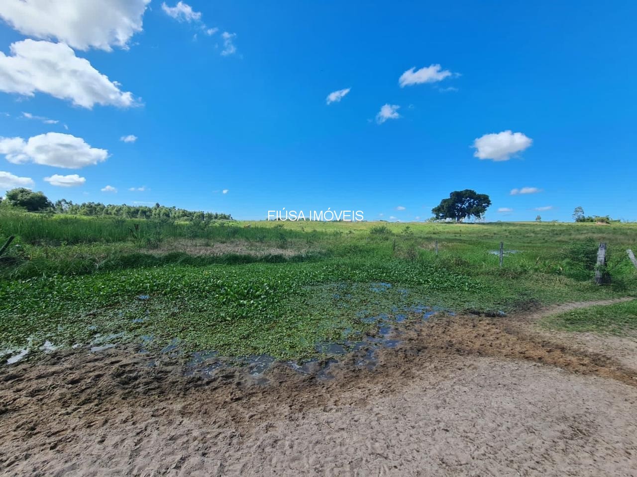 Fazenda - Foto 1
