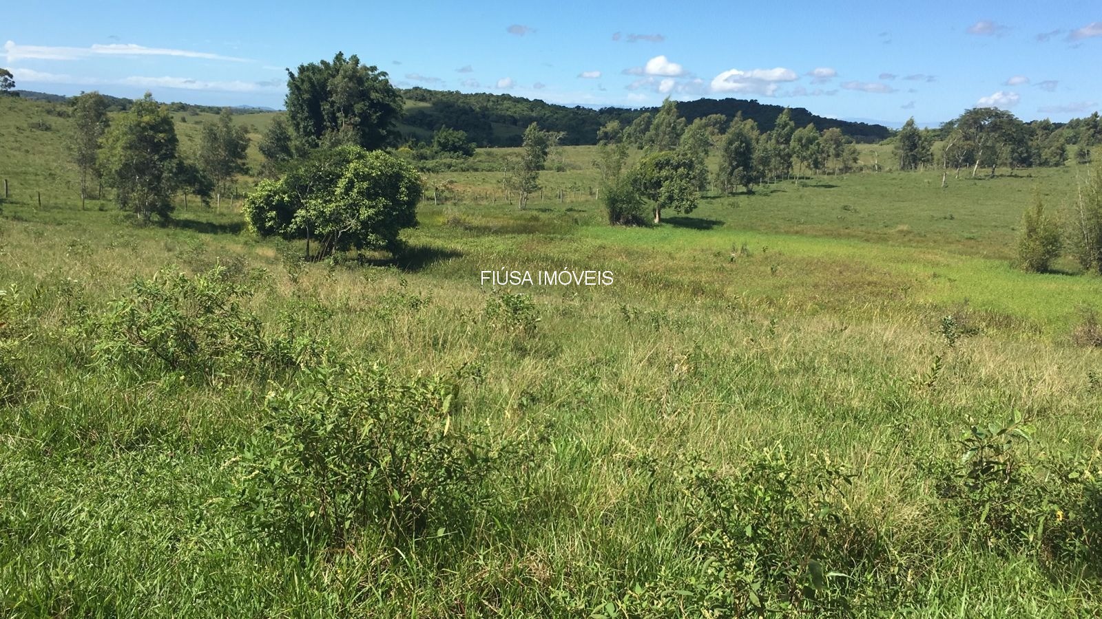 Fazenda - Foto 61