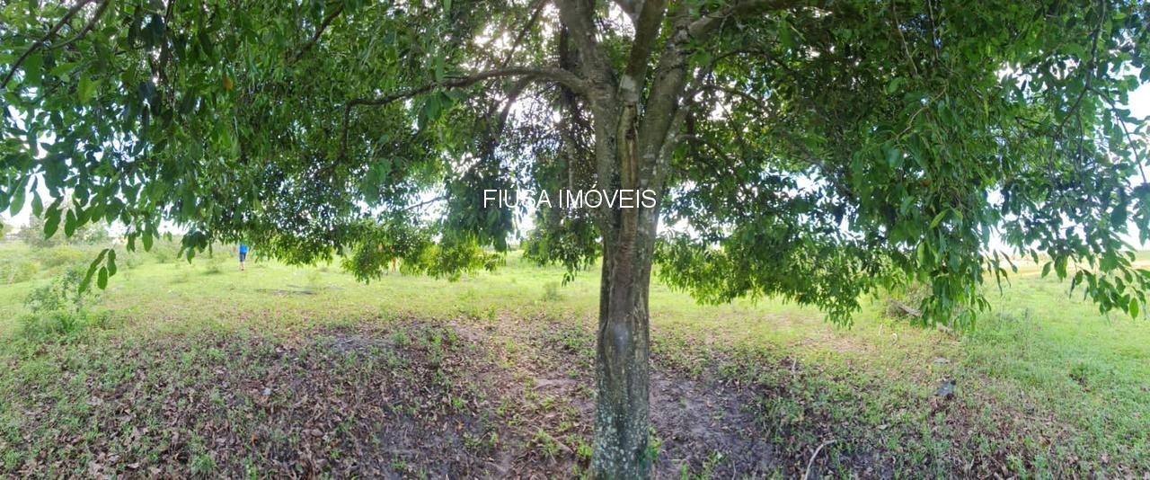 Fazenda - Foto 11