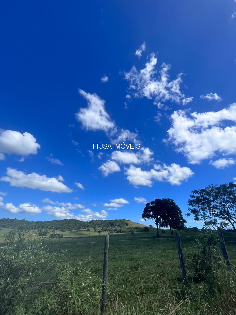 Fazenda - Foto 48