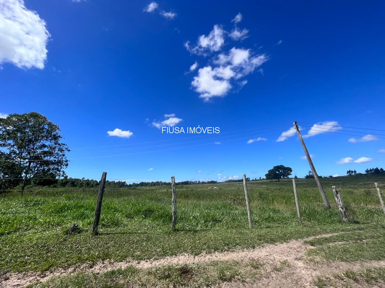 Fazenda - Foto 43