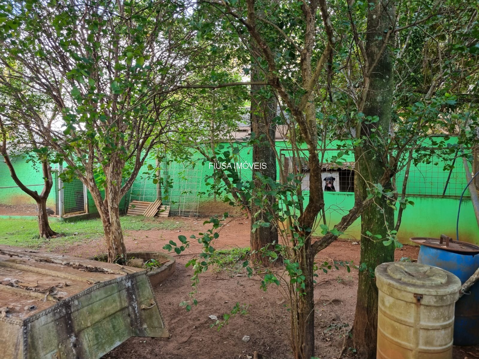Fazenda - Foto 23