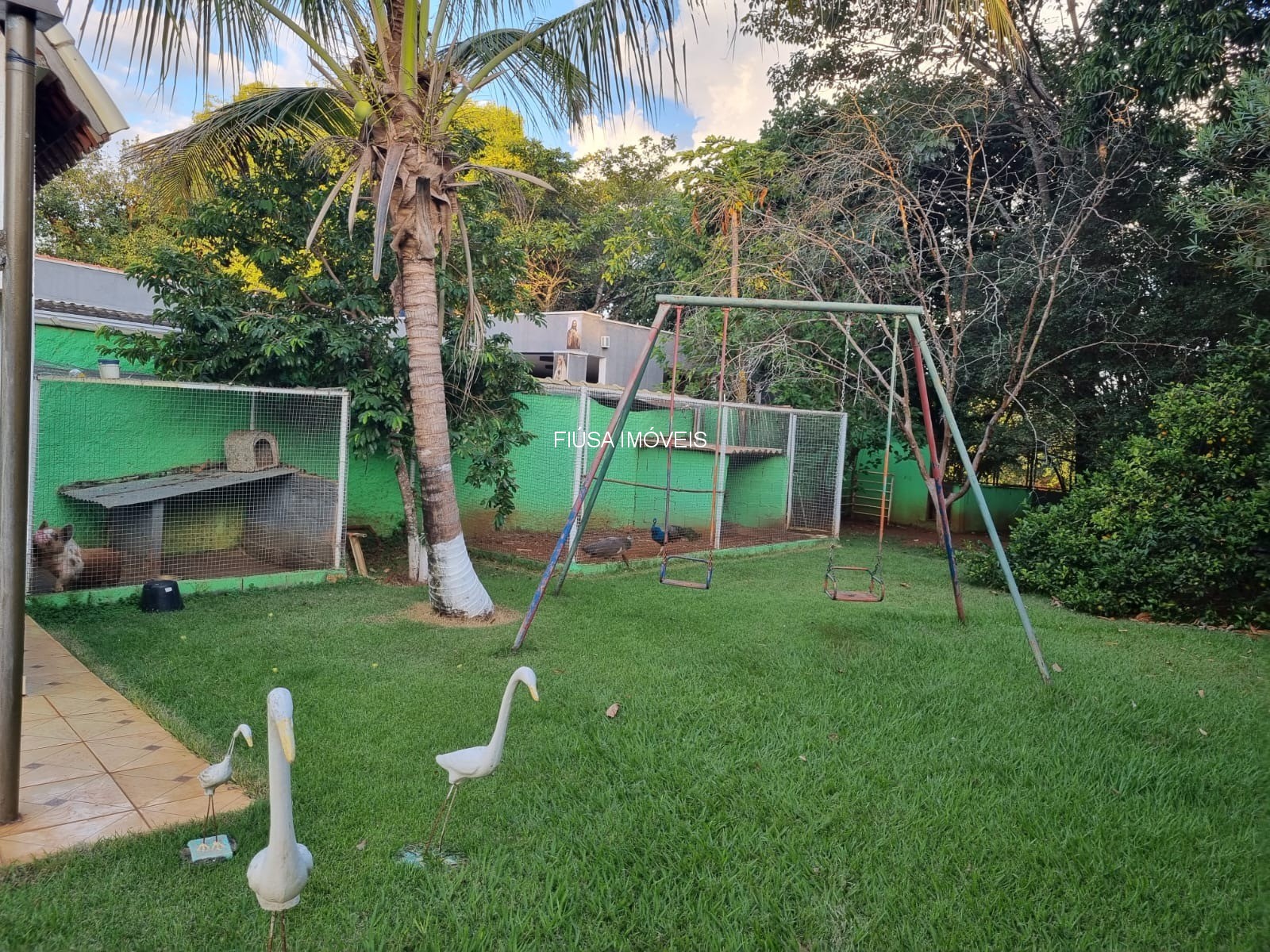 Fazenda - Foto 15