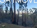 Terreno - Foto 4