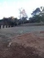 Terreno - Foto 2