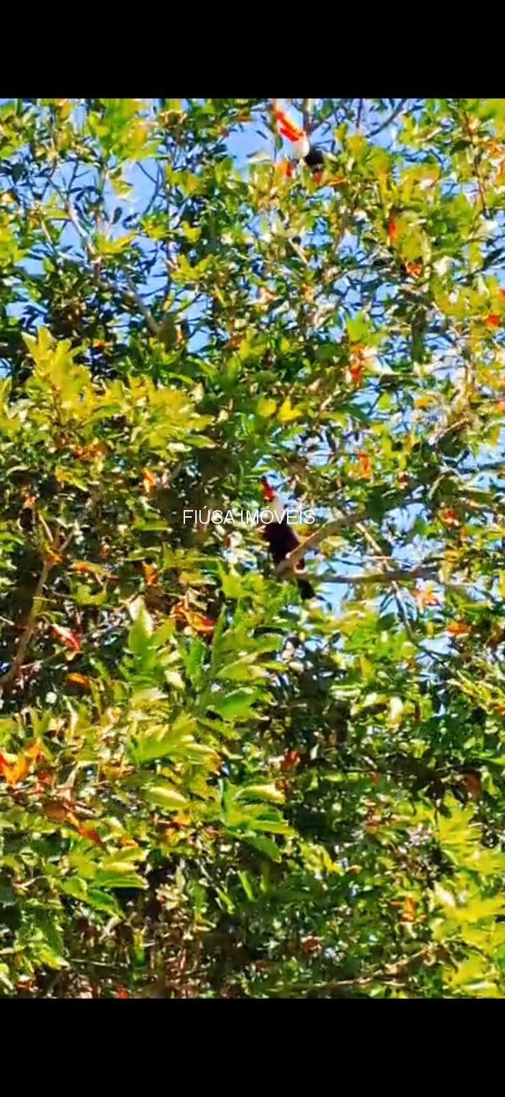 Fazenda, 4 quartos - Foto 47