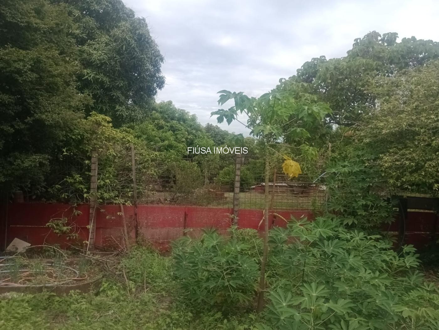 Chácara, 4 quartos - Foto 5
