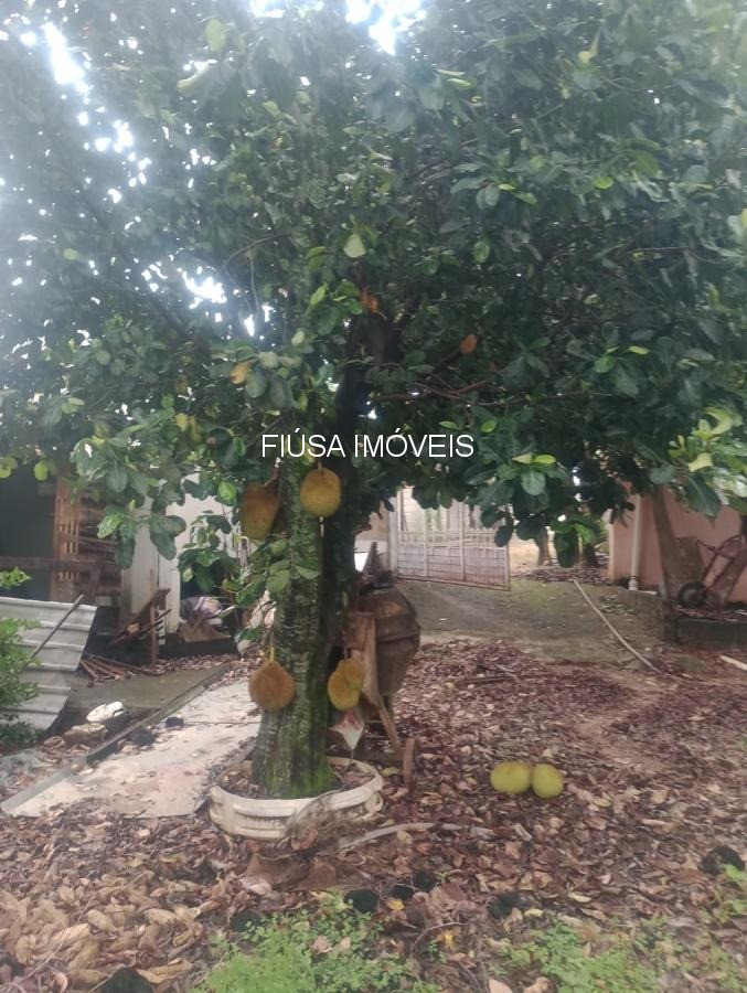 Chácara, 4 quartos - Foto 18