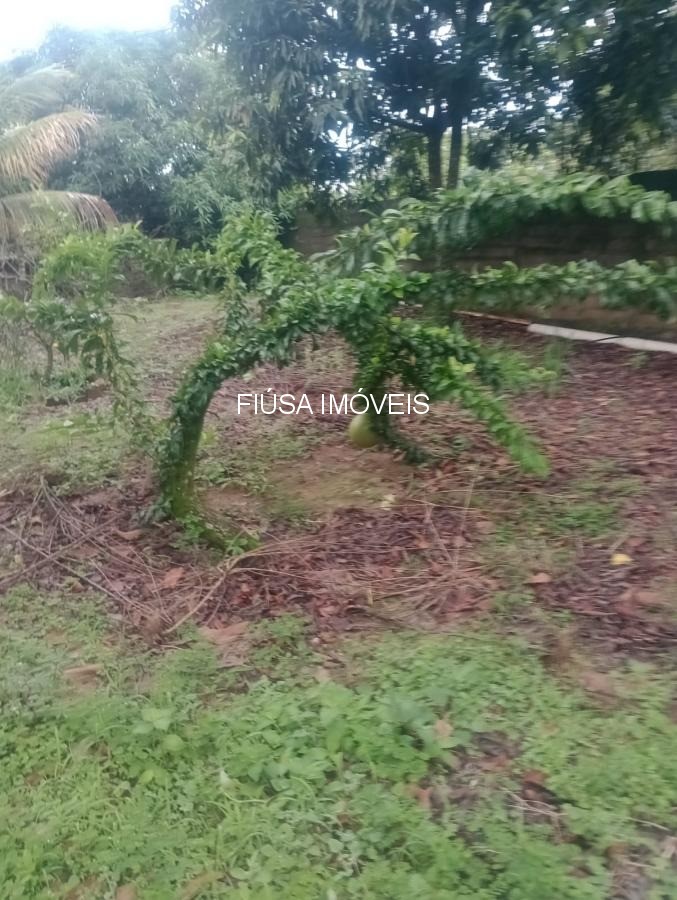 Chácara, 4 quartos - Foto 15