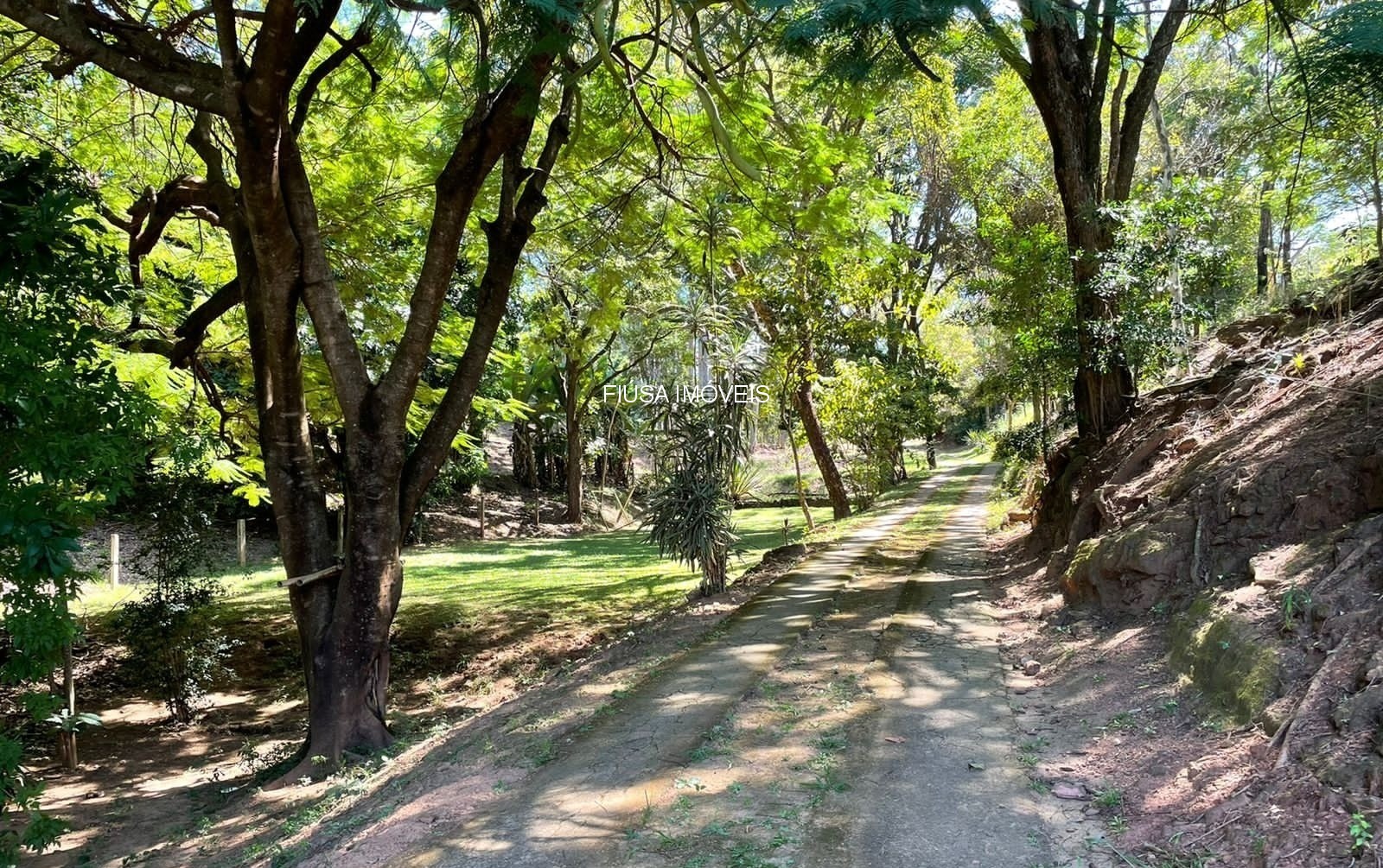 Fazenda, 3 quartos - Foto 6