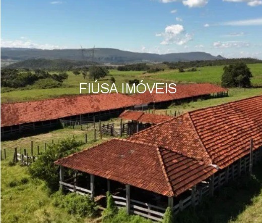 Fazenda - Foto 6