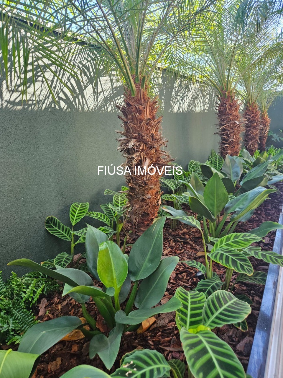 Casa, 5 quartos - Foto 6