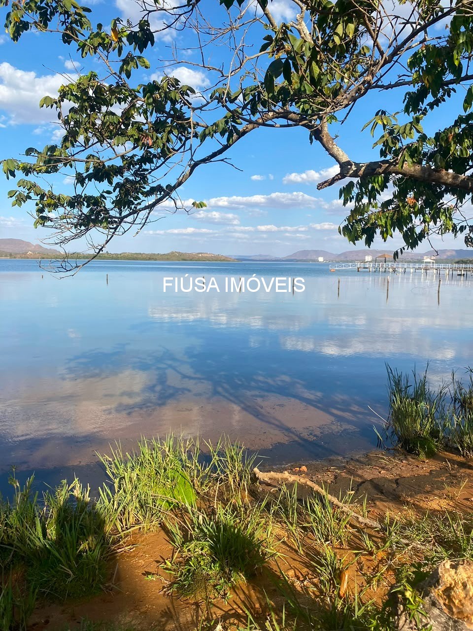 Fazenda - Foto 4
