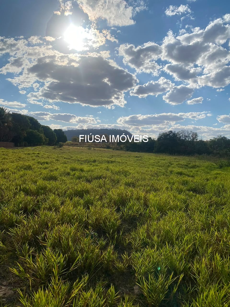 Fazenda - Foto 2