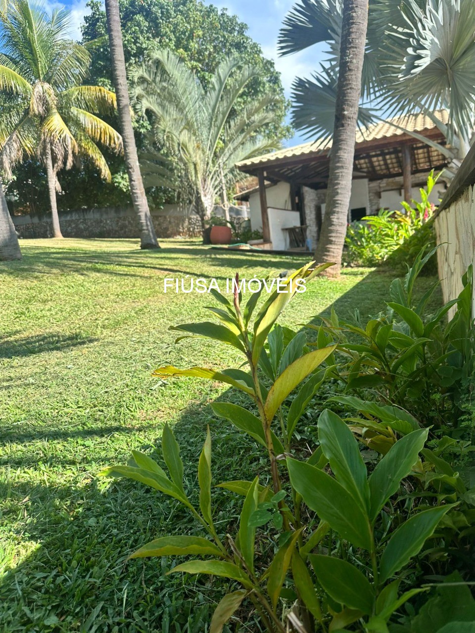 Fazenda, 7 quartos - Foto 9