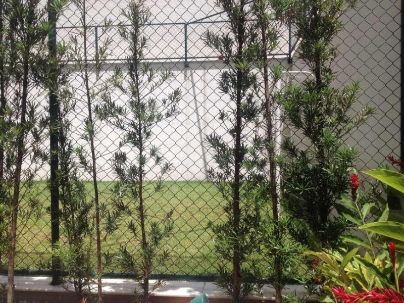 Apartamento, 3 quartos, 95 m² - Foto 25