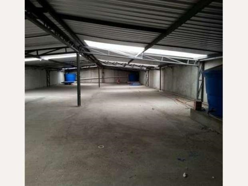 Depósito-Galpão - Foto 11